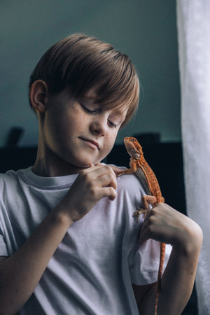 Portrait of boy with Red bearded Agama iguana. Little child playing with reptile. Selective focus. High quality photoの写真素材