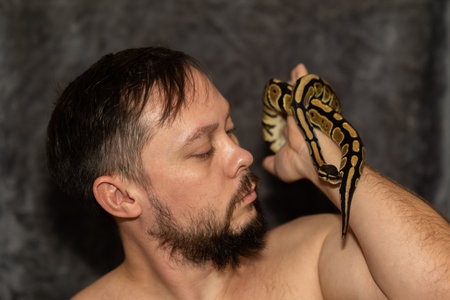Portrait of caucasian man with Python regius snake on gray background. Selective focus. High quality...