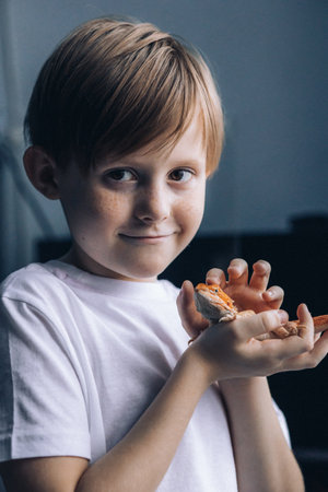 Portrait of boy with Red bearded Agama iguana. Little child playing with reptile. Selective focus....