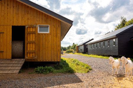 Stacked bales of hay lie in storage in barn. Rural organic nature farm. High quality photoの写真素材