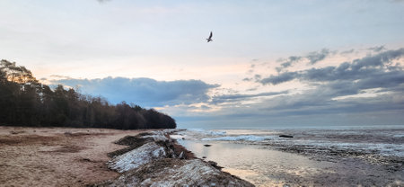 Panoramic view of beautiful dawn on bay. Cumulus clouds over water in bright light. Snow and rocks on coastline. Rising rays of sun are reflected in sea. High quality photoの写真素材