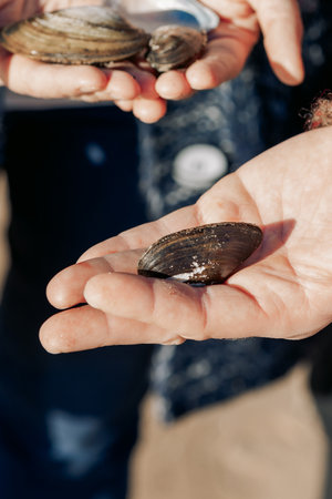 Seashells in hands, close-up. Young carefree couple in love throwing pebbles, shells, stones into sea outdoors. Fun family game together. High quality photoの写真素材