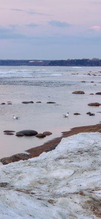 Tranquil scene of ducks gliding through calm lake amid large rocks and ice formations, with serene horizon at sunset. Captures peaceful natural winter environment. Vertical photoの写真素材