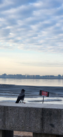 Crow perched on concrete ledge near frozen lake, overlooking city skyline. Red warning sign Danger of going out on ice. Cloudy sky enhances the winter scene. Vertical photoの写真素材