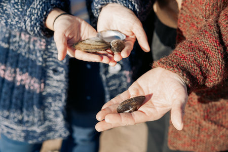 Seashells in hands, close-up. Young carefree couple in love throwing pebbles, shells, stones into sea outdoors. High quality photoの写真素材