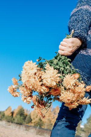 Female hand with bouquet of flowers on warm sunny autumn day outdoors. Vertical photo. High quality photoの写真素材