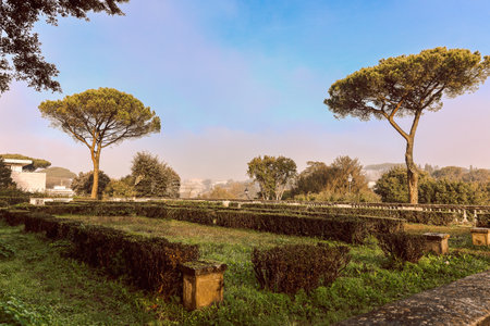 Serene scene of tranquil park surrounded by tall trees and prominent statue. Soft morning light...