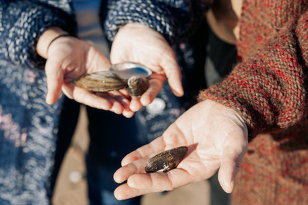 Seashells in hands, close-up. Young carefree couple in love throwing pebbles, shells, stones into sea outdoors. Fun family game together. High quality photoの写真素材