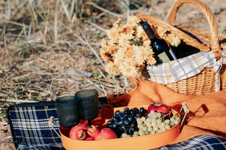 Autumn picnic on beach by sea. Fresh fruits, wine glasses, bottle, grapes, pomegranate near picnic basket on orange blanket. High quality photoの写真素材