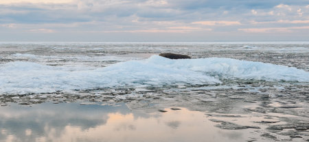 Sunrise over a tranquil coastline with icy patches along the shore. The sky reflects in the water, creating a serene and peaceful atmosphere.の写真素材