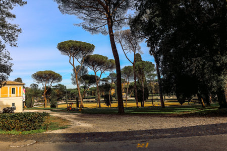 Serene scene of tranquil park surrounded by tall trees and prominent statue. Soft morning light filters through leaves, creating peaceful atmosphere. Villa Borghese gardens, Rome, Italyの写真素材
