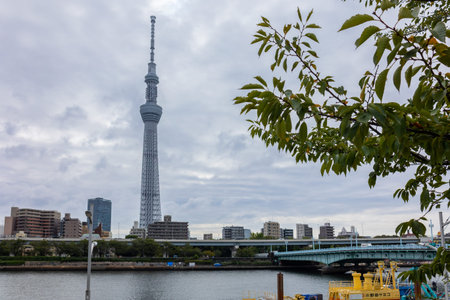 Tokyo, Japan - October 7, 2025: City Perspective. Urban waterfront scene with Tokyo Skytree...