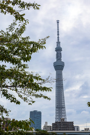 Tokyo, Japan - October 7, 2025: City Perspective. Urban waterfront scene with Tokyo Skytree...
