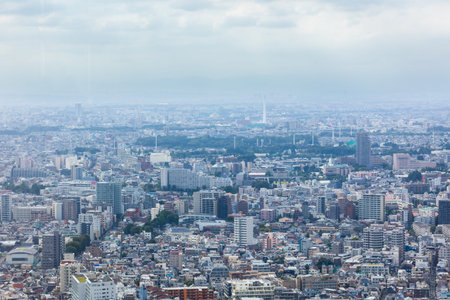 Tokyo, Japan - October 7, 2025: Metropolitan Perspective. Panoramic view showing contemporary Tokyo...