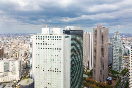 Tokyo, Japan - October 7, 2025: Metropolitan Perspective. Panoramic view showing contemporary Tokyo...