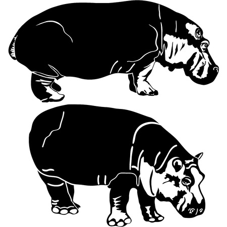 Vector illustration of hippopotamus animalsのイラスト素材
