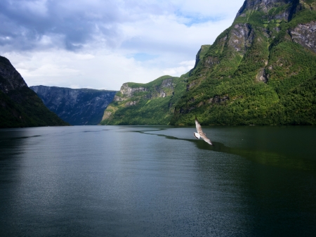 Sogne fjord in the north of Norway.の写真素材