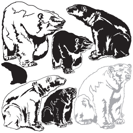 Polar bearsのイラスト素材