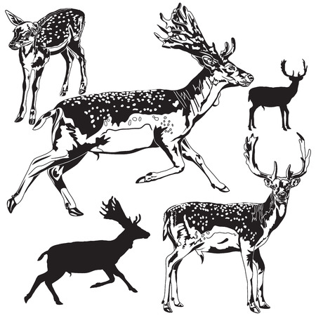 Set of deersのイラスト素材