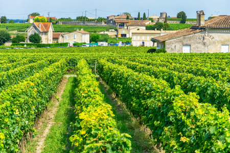 Saint Emilion village, Bordeaux, France