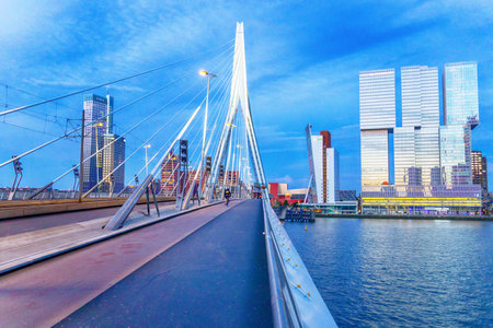 View of the Erasmus Bridge, Rotterdam, Netherlandsの写真素材