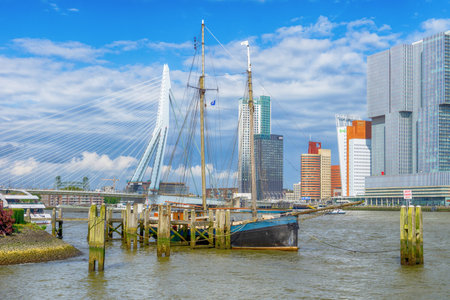 Erasmus Bridge, Rotterdam, Netherlandsの写真素材