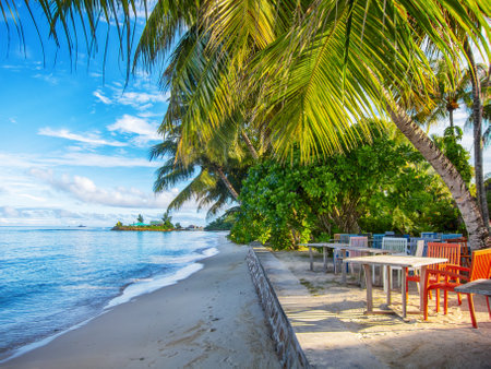 Tropical Beach Cafe, Seychellesの写真素材