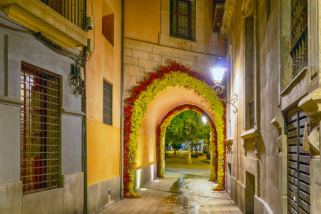 Street with an archway, Murcia, Spainの写真素材