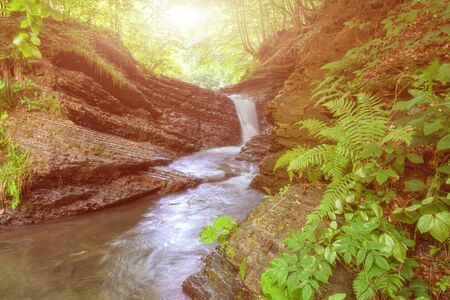 Mountain waterfall in the rocky canyon surrounded be green forestの写真素材