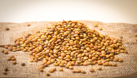 Lentils on juta bagの写真素材