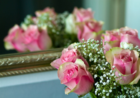 Pink rosesの写真素材