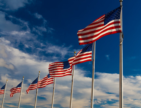 Row American Flags, Washington DC,USAの写真素材