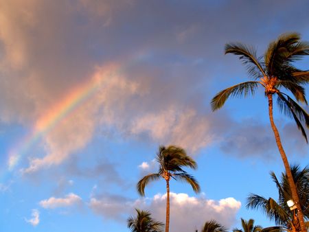 Luau Rainbowの写真素材