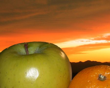 Fruit in sunsetの写真素材