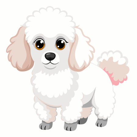 White poodle with pink tail on white background Dog breedのイラスト素材