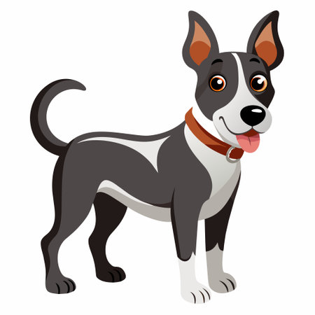 Black and white dog with red collar standing on white backgroundのイラスト素材