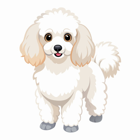 A white poodle, a dog breed, is standing on a white backgroundのイラスト素材