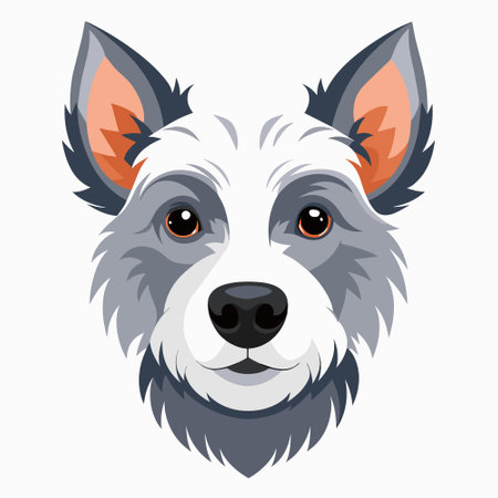 The dog breed with gray and white fur and orange ears is gazing into the cameraのイラスト素材