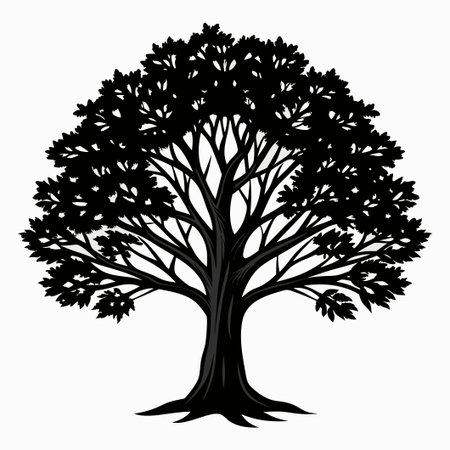 Silhouette of tree with leaves on white backgroundのイラスト素材