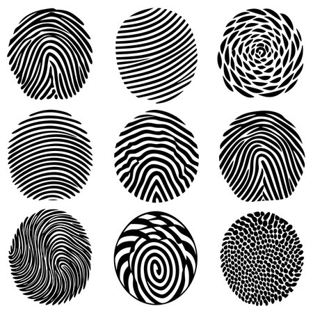 Black and white fingerprint patterns on a white backgroundのイラスト素材