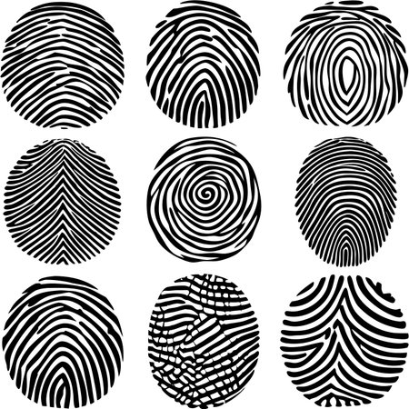 Black and white fingerprint patterns on a white backgroundのイラスト素材