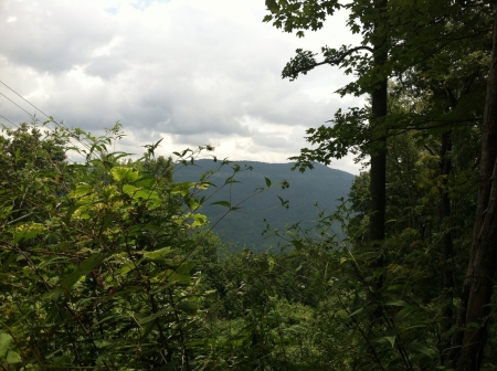 Beautiful mountains in eastern Kentucky の素材