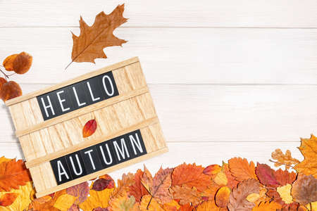 Wooden message board with the text phrase Hello Autumn and dry fallen leaves on a white background. Autumn season, positive mood, harvest time, leaffall, fall concept. Top view, flat lay.の写真素材
