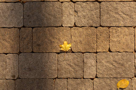 Sidewalk stones of various shapes and several fallen autumn leaves in the sunset light. Masonry texture with shadows. Copy spaceの写真素材