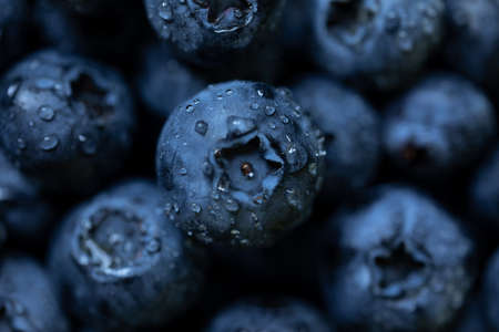 Fresh blueberries background with copy space for your text. Vegan and vegetarian concept. Macro texture of blueberry berries. Summer healthy food. Selective focusの写真素材