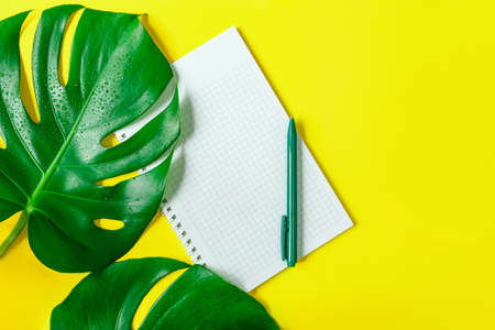 Monstera leaves, a checkered notebook and a pen on a trendy yellow background. Copy space
