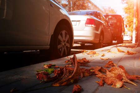 Cars are parked along the sidewalk. Autumn in the city, fallen foliage lies on the pavement. Blur as an artistic device. Tinted.の写真素材