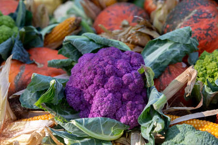 Purple cauliflowers and other vegetables on a farmers market standの写真素材