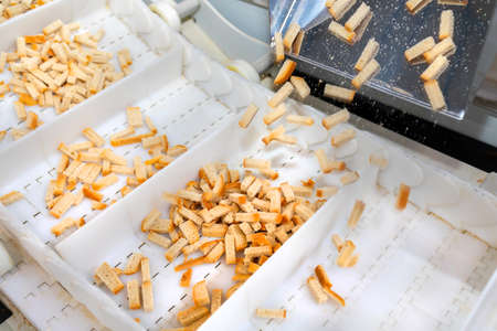 Croutons on the conveyor. Automated line for the production of rusks from bread. Conveyor line...