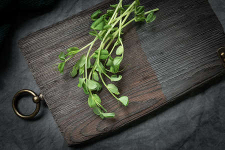 Bunch of cut micro greens on old wooden board with metal decorative elements for culinary theme...
